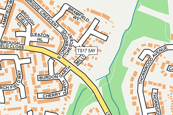 TS17 5AY map - OS OpenMap – Local (Ordnance Survey)