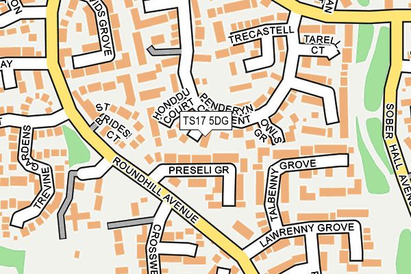 TS17 5DG map - OS OpenMap – Local (Ordnance Survey)