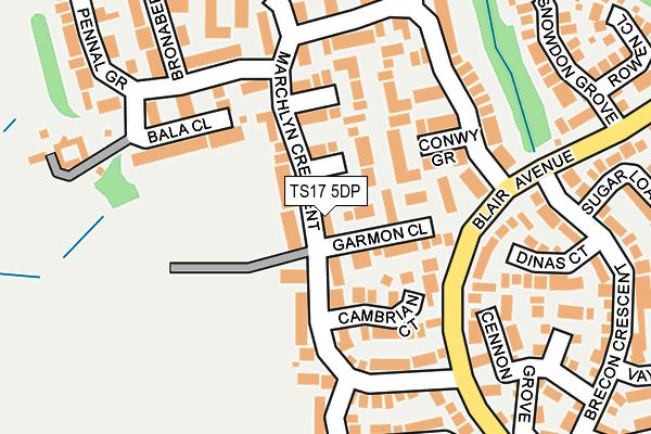TS17 5DP map - OS OpenMap – Local (Ordnance Survey)