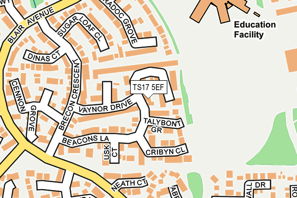 TS17 5EF map - OS OpenMap – Local (Ordnance Survey)
