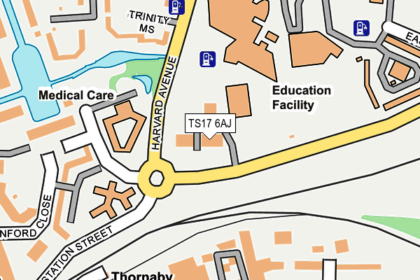TS17 6AJ map - OS OpenMap – Local (Ordnance Survey)