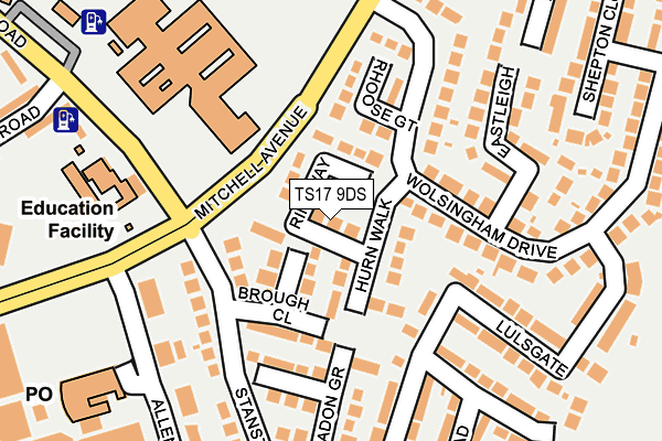 TS17 9DS map - OS OpenMap – Local (Ordnance Survey)