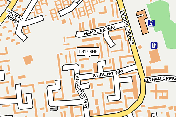 TS17 9NF map - OS OpenMap – Local (Ordnance Survey)
