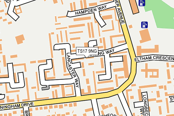 TS17 9NG map - OS OpenMap – Local (Ordnance Survey)