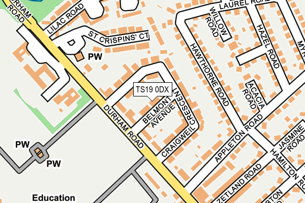 TS19 0DX map - OS OpenMap – Local (Ordnance Survey)