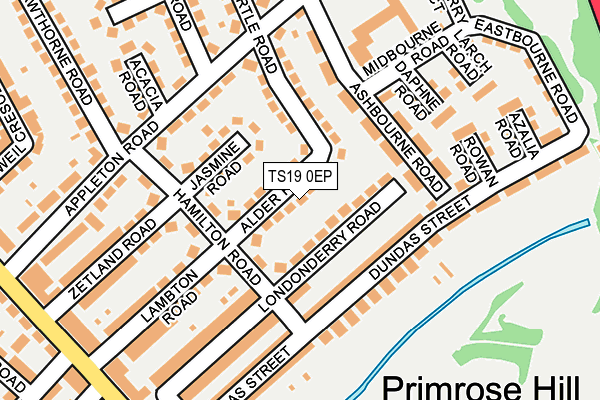 TS19 0EP map - OS OpenMap – Local (Ordnance Survey)