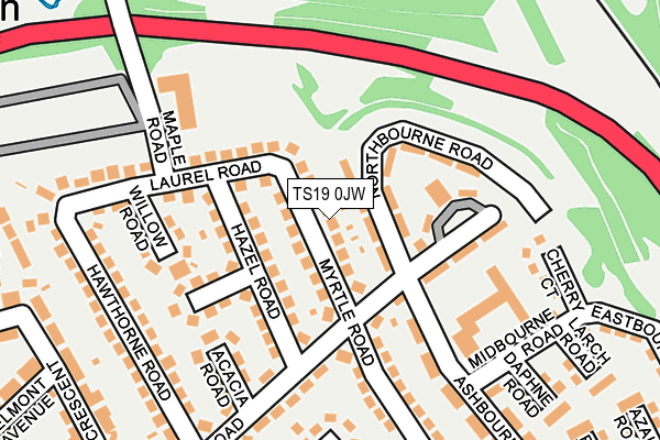 TS19 0JW map - OS OpenMap – Local (Ordnance Survey)
