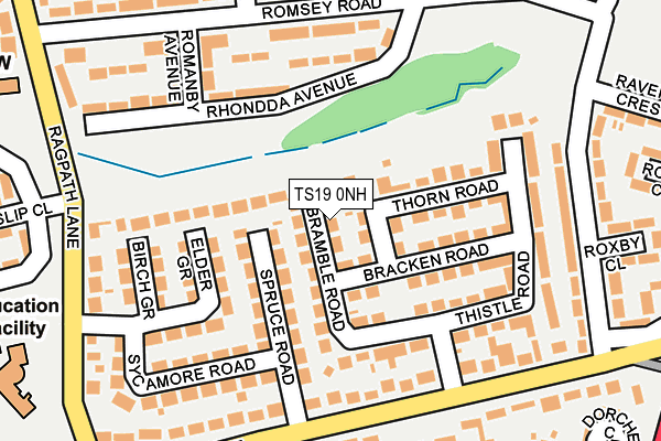 TS19 0NH map - OS OpenMap – Local (Ordnance Survey)