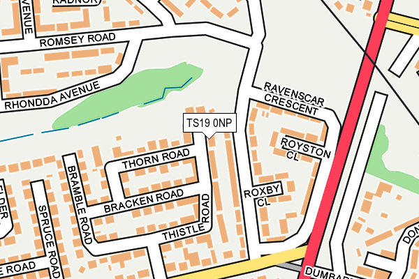 TS19 0NP map - OS OpenMap – Local (Ordnance Survey)