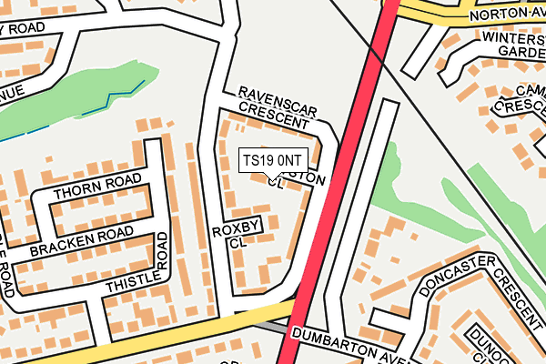 TS19 0NT map - OS OpenMap – Local (Ordnance Survey)