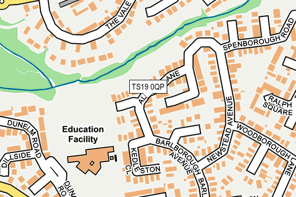 TS19 0QP map - OS OpenMap – Local (Ordnance Survey)