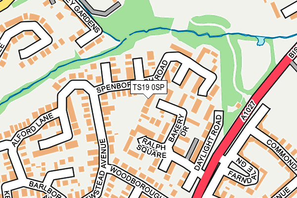 TS19 0SP map - OS OpenMap – Local (Ordnance Survey)