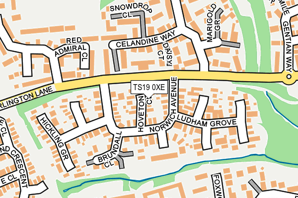 TS19 0XE map - OS OpenMap – Local (Ordnance Survey)