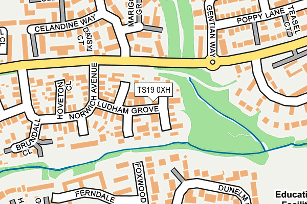 TS19 0XH map - OS OpenMap – Local (Ordnance Survey)