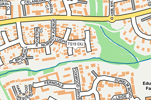 TS19 0XJ map - OS OpenMap – Local (Ordnance Survey)