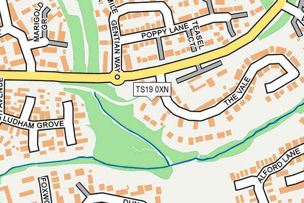 TS19 0XN map - OS OpenMap – Local (Ordnance Survey)