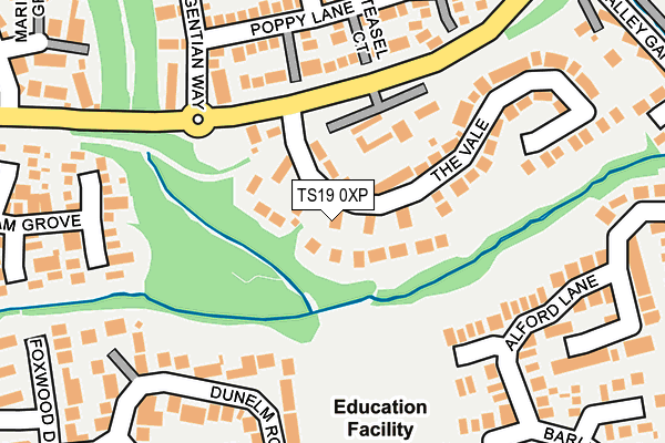 TS19 0XP map - OS OpenMap – Local (Ordnance Survey)