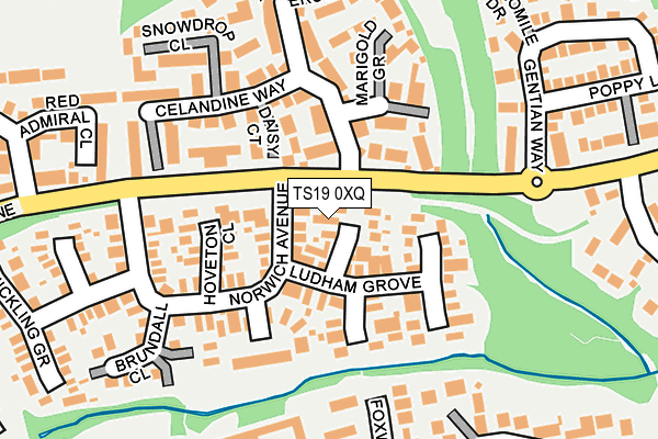 TS19 0XQ map - OS OpenMap – Local (Ordnance Survey)