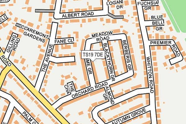 TS19 7DE map - OS OpenMap – Local (Ordnance Survey)