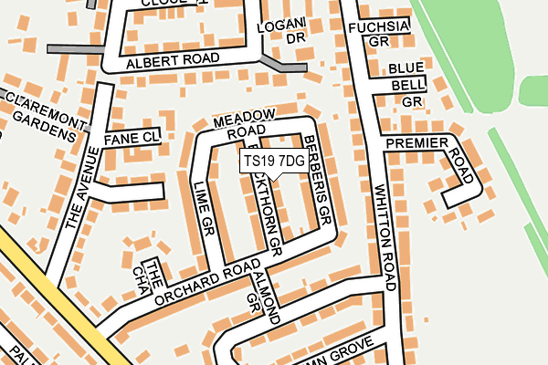 TS19 7DG map - OS OpenMap – Local (Ordnance Survey)