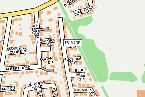 TS19 7DP map - OS OpenMap – Local (Ordnance Survey)