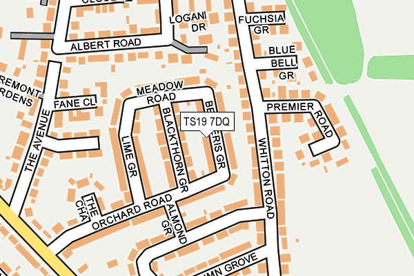 TS19 7DQ map - OS OpenMap – Local (Ordnance Survey)