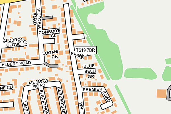 TS19 7DR map - OS OpenMap – Local (Ordnance Survey)