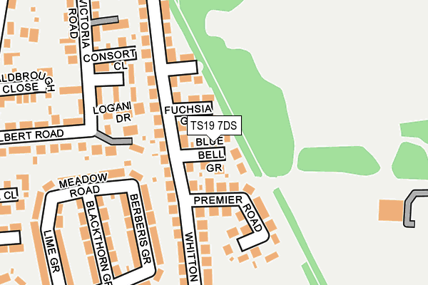 TS19 7DS map - OS OpenMap – Local (Ordnance Survey)