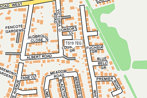 TS19 7EG map - OS OpenMap – Local (Ordnance Survey)