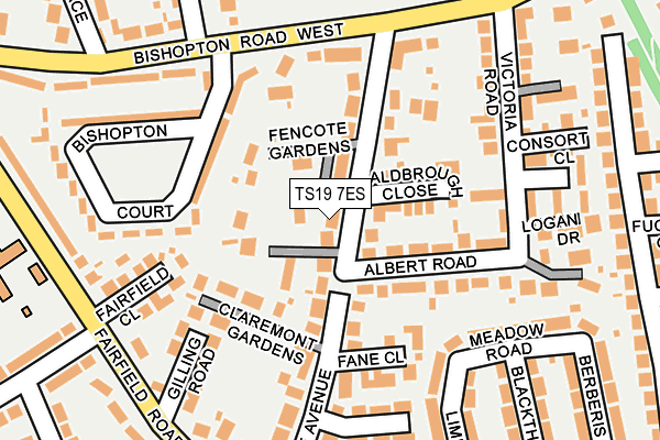 TS19 7ES map - OS OpenMap – Local (Ordnance Survey)