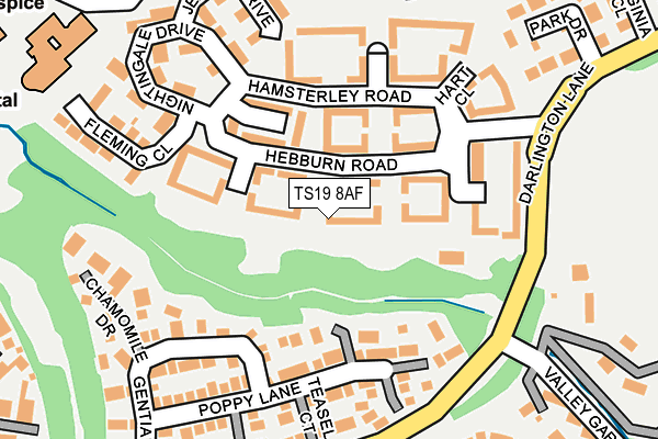 TS19 8AF map - OS OpenMap – Local (Ordnance Survey)