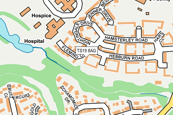 TS19 8AG map - OS OpenMap – Local (Ordnance Survey)