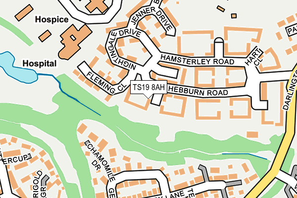 TS19 8AH map - OS OpenMap – Local (Ordnance Survey)