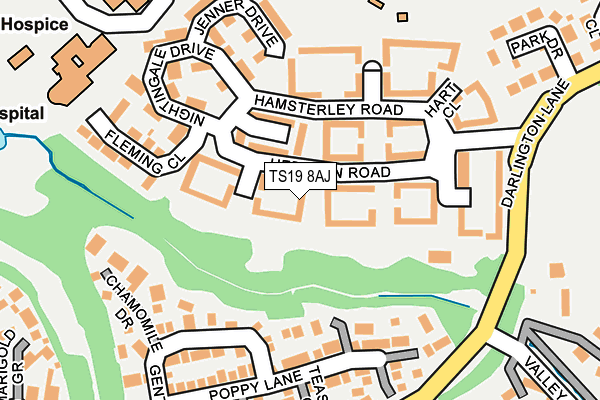 TS19 8AJ map - OS OpenMap – Local (Ordnance Survey)