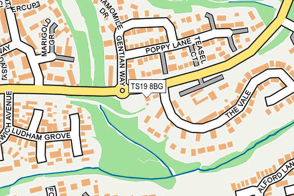 TS19 8BG map - OS OpenMap – Local (Ordnance Survey)