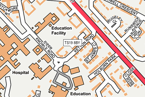 TS19 8BY map - OS OpenMap – Local (Ordnance Survey)