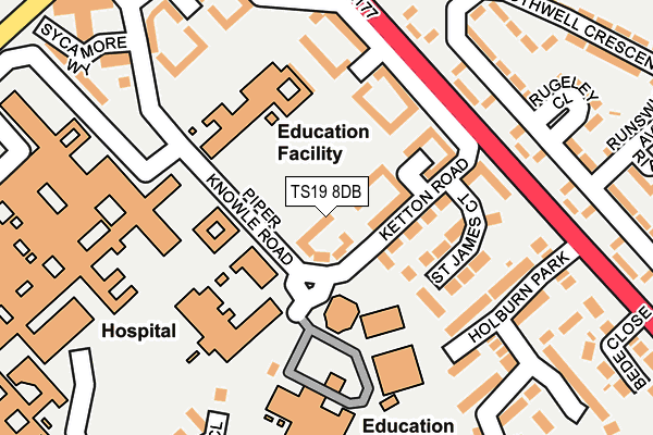 TS19 8DB map - OS OpenMap – Local (Ordnance Survey)