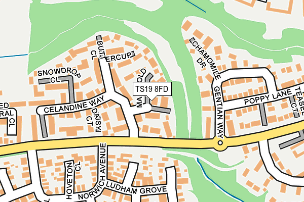 TS19 8FD map - OS OpenMap – Local (Ordnance Survey)