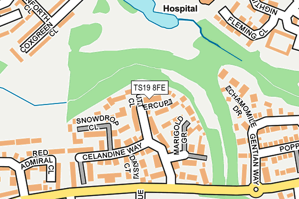 TS19 8FE map - OS OpenMap – Local (Ordnance Survey)