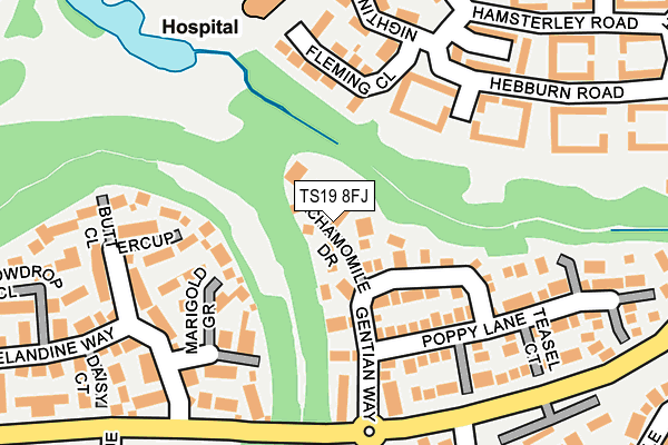 TS19 8FJ map - OS OpenMap – Local (Ordnance Survey)