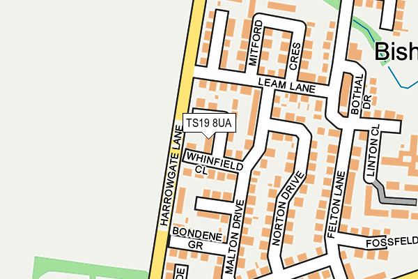 TS19 8UA map - OS OpenMap – Local (Ordnance Survey)
