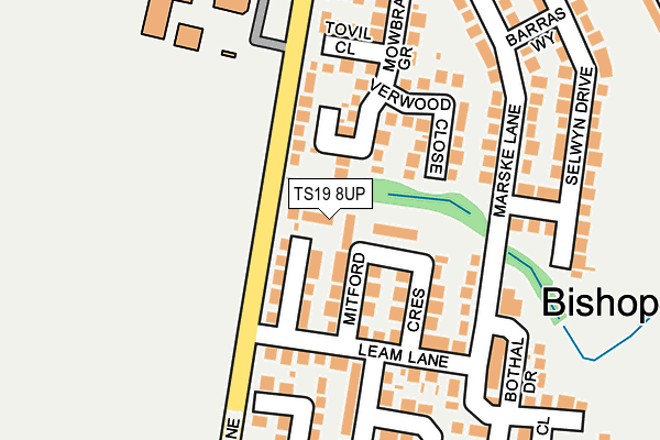 TS19 8UP map - OS OpenMap – Local (Ordnance Survey)