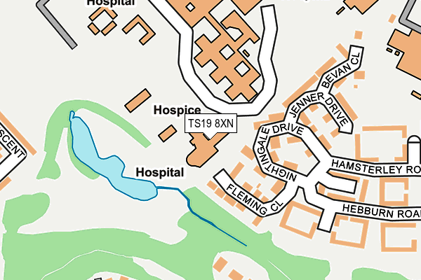 TS19 8XN map - OS OpenMap – Local (Ordnance Survey)