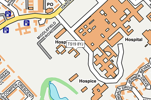 TS19 8YJ map - OS OpenMap – Local (Ordnance Survey)