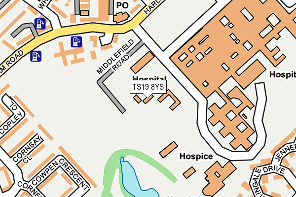 TS19 8YS map - OS OpenMap – Local (Ordnance Survey)