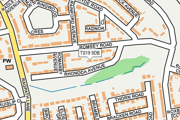 TS19 9DB map - OS OpenMap – Local (Ordnance Survey)