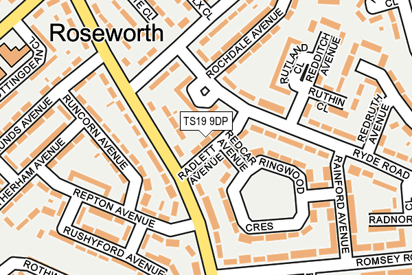 TS19 9DP map - OS OpenMap – Local (Ordnance Survey)