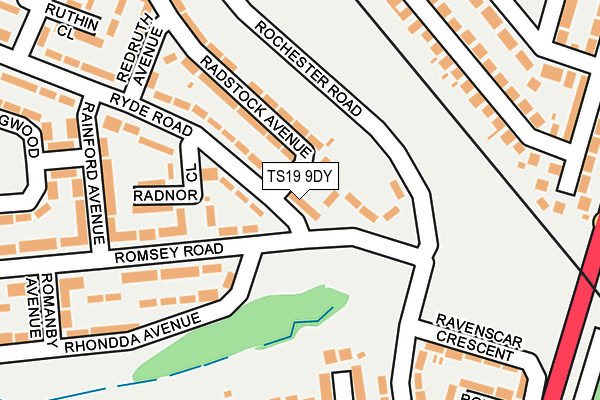 TS19 9DY map - OS OpenMap – Local (Ordnance Survey)