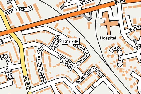 TS19 9HP map - OS OpenMap – Local (Ordnance Survey)