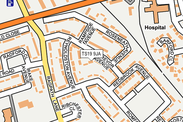 TS19 9JA map - OS OpenMap – Local (Ordnance Survey)